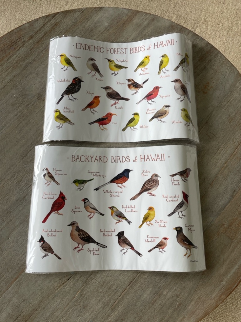 Kate DolamoreEndemic & Backyard Birds of Hawaii Wall Art Prints